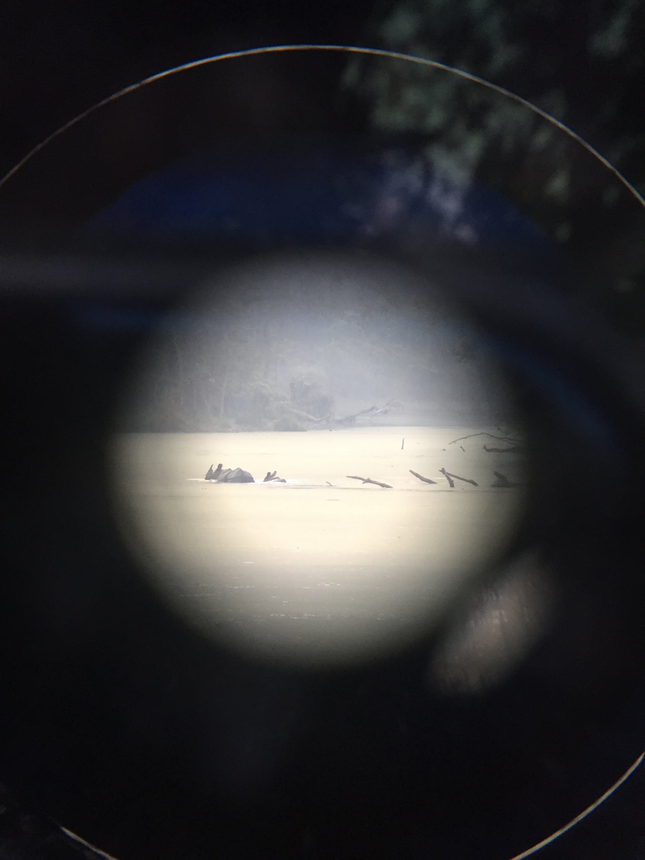 Bufferzone image 1