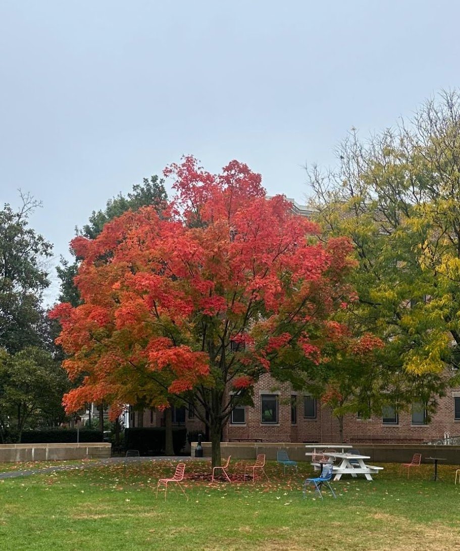 Falling Fall image 1
