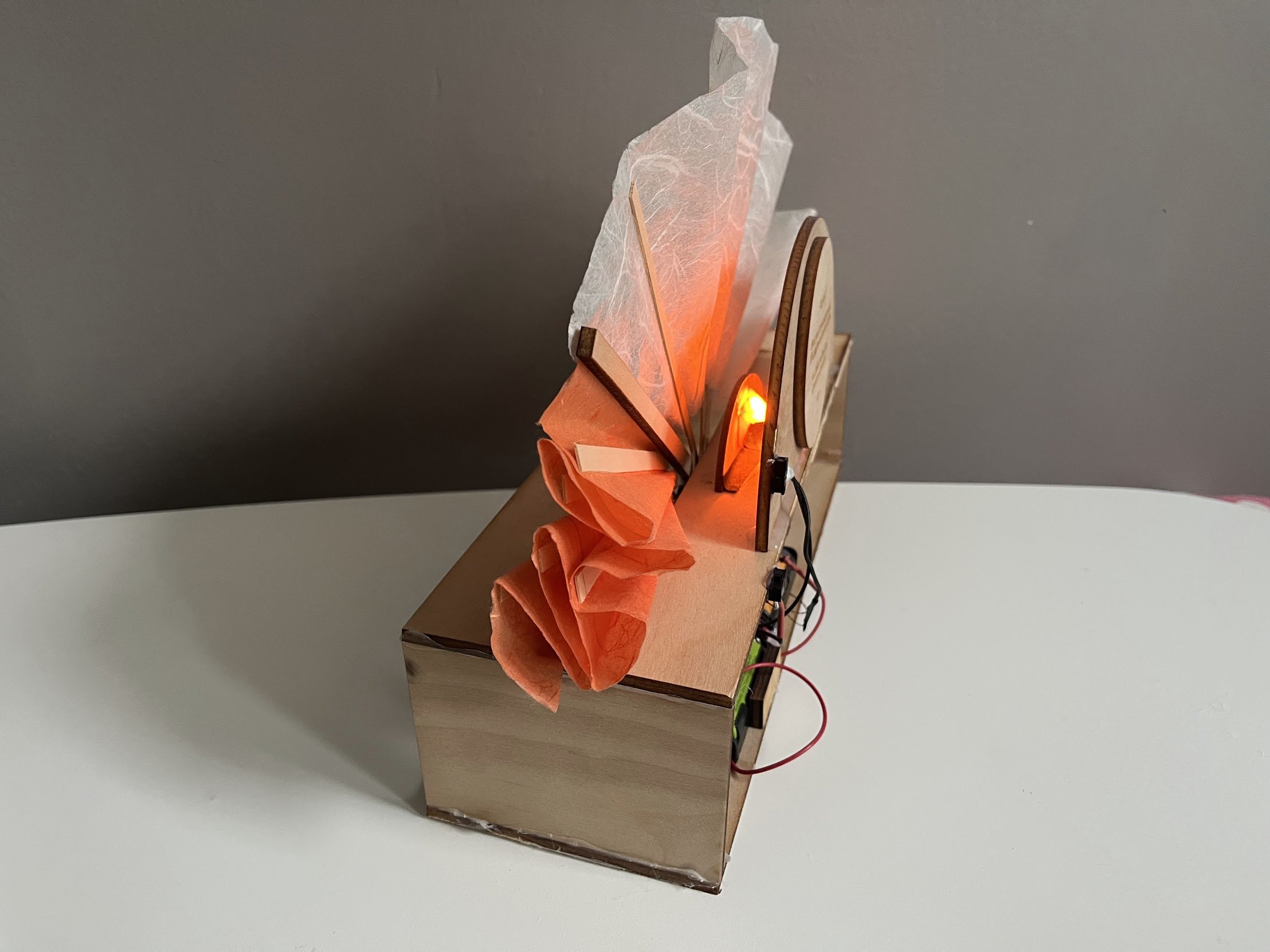Fan Lamp