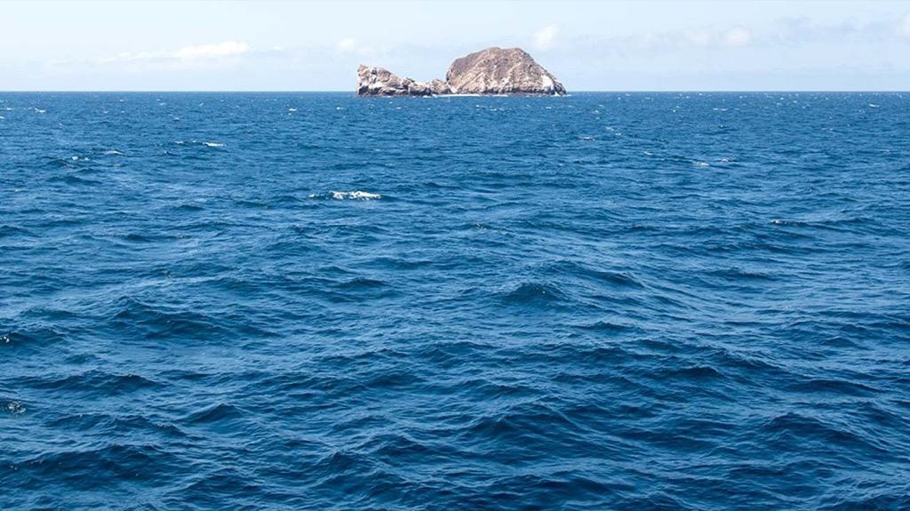 Galapagos