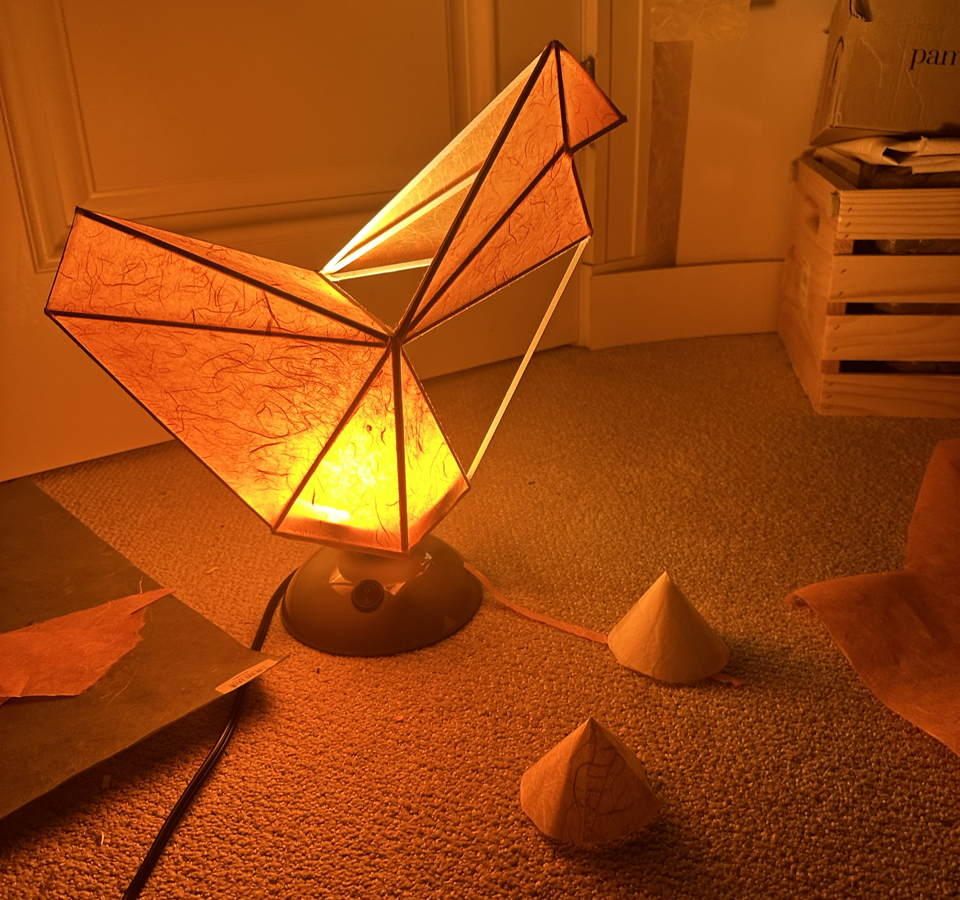Paper Lamps