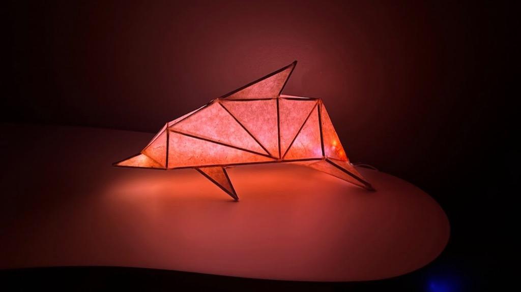Paper Lamps